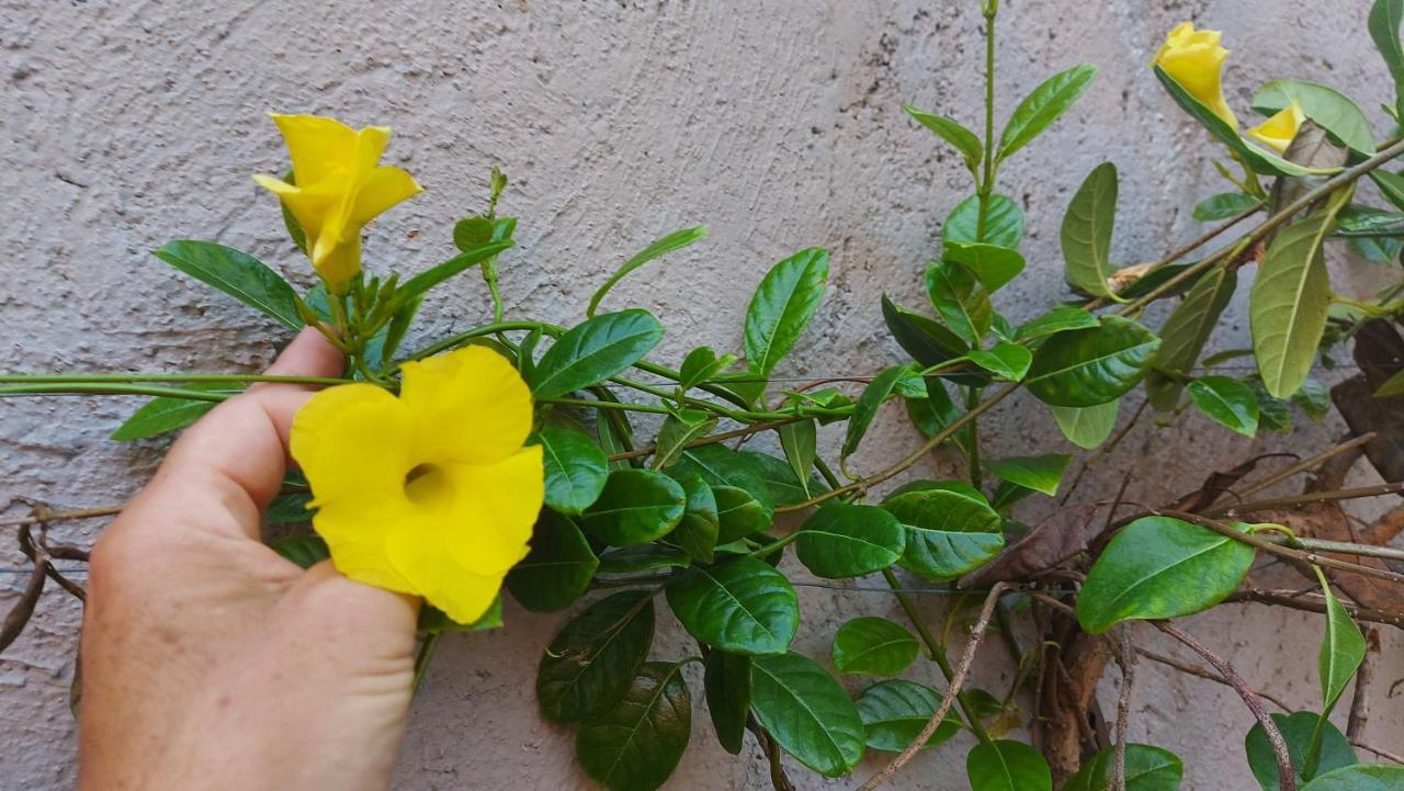 Myoli Wellness & Happiness Bnb Playa del Carmen Zewnętrze zdjęcie